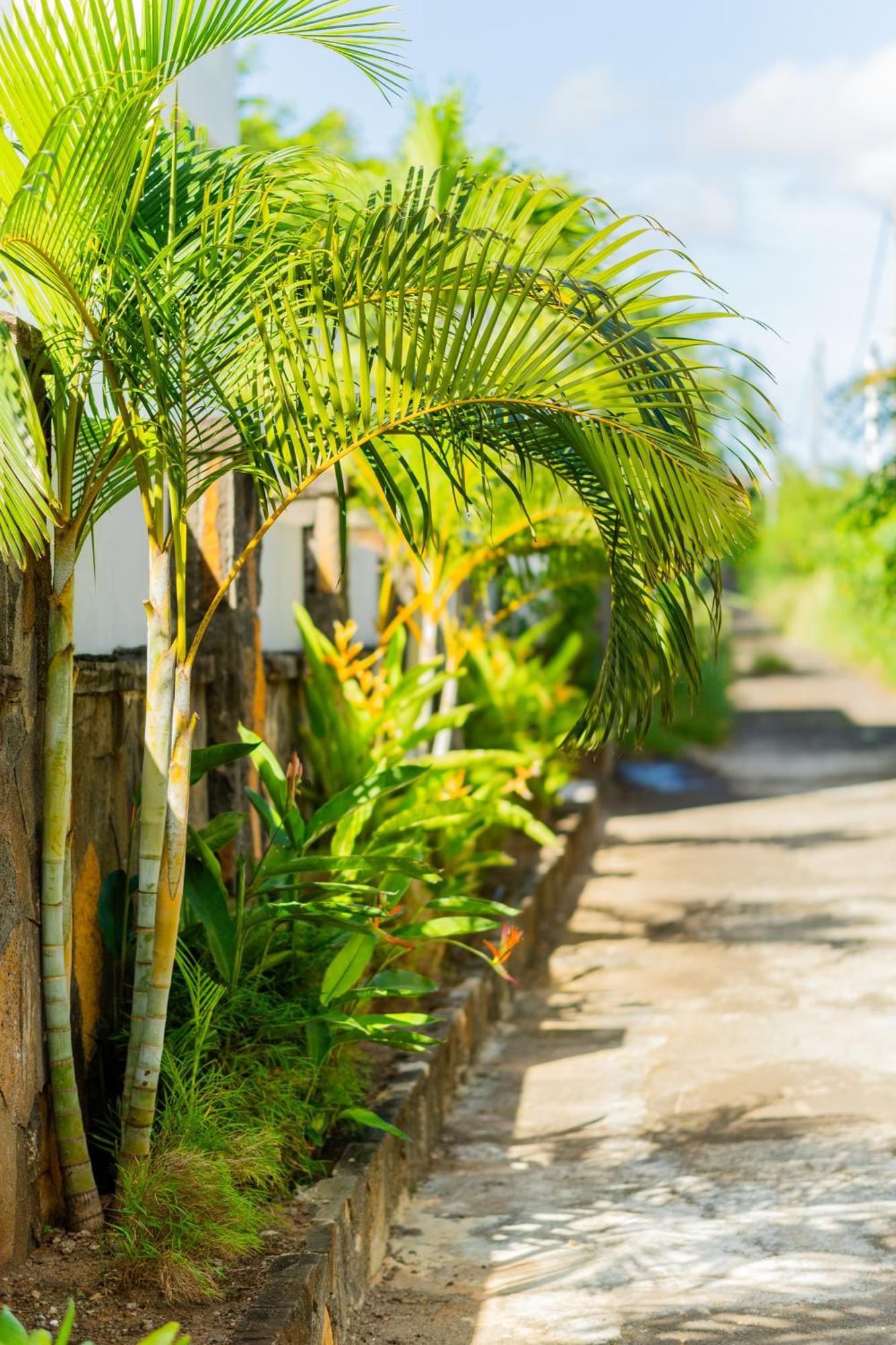 Palm Biche Residence Trou aux Biches Exterior foto
